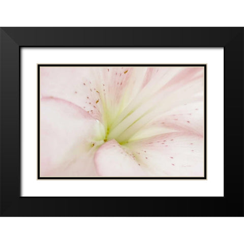 Lily Centered Black Modern Wood Framed Art Print with Double Matting by Murdock, Ramona