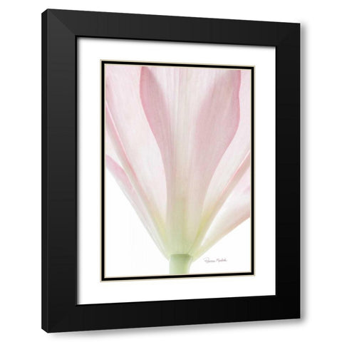 Transparent Lily II Black Modern Wood Framed Art Print with Double Matting by Murdock, Ramona