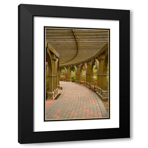 Curves Black Modern Wood Framed Art Print with Double Matting by Murdock, Ramona
