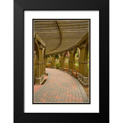 Curves Black Modern Wood Framed Art Print with Double Matting by Murdock, Ramona