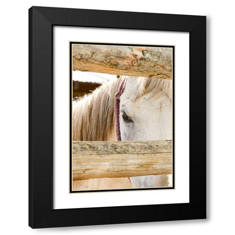 Peek Black Modern Wood Framed Art Print with Double Matting by Murdock, Ramona
