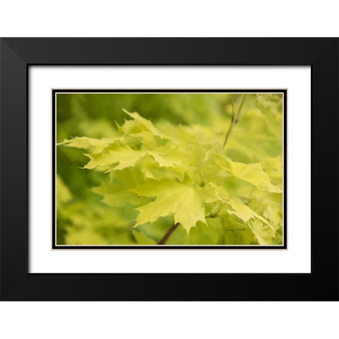 Spring Leaves I Black Modern Wood Framed Art Print with Double Matting by Murdock, Ramona