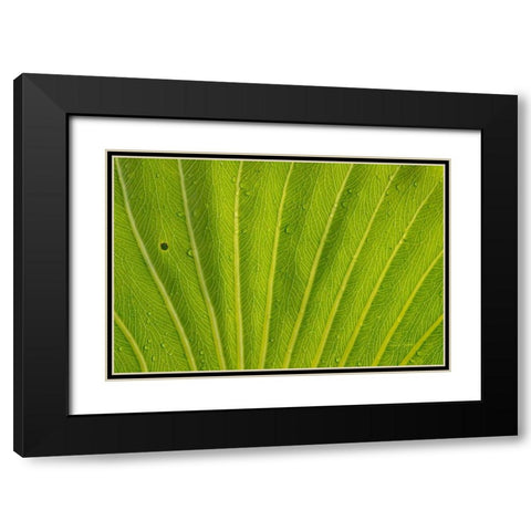 Almost Perfect Black Modern Wood Framed Art Print with Double Matting by Murdock, Ramona