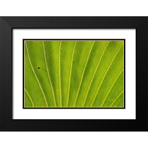 Almost Perfect Black Modern Wood Framed Art Print with Double Matting by Murdock, Ramona