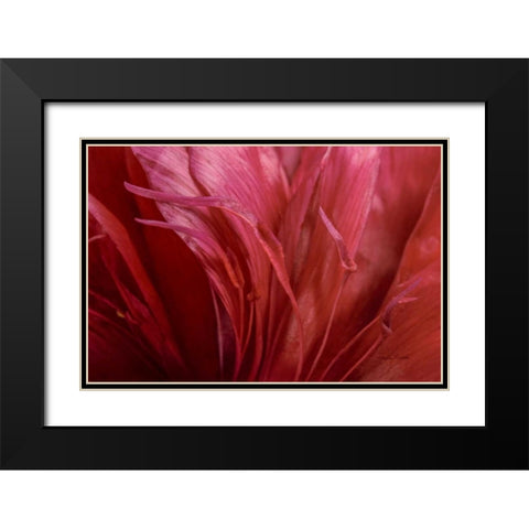 Peonia Insight II Black Modern Wood Framed Art Print with Double Matting by Murdock, Ramona