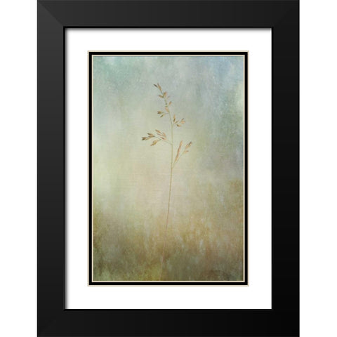 Marsh Grass Black Modern Wood Framed Art Print with Double Matting by Murdock, Ramona