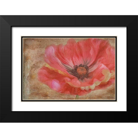 Painted Poppie Black Modern Wood Framed Art Print with Double Matting by Murdock, Ramona