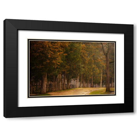 A Road Less Traveled Black Modern Wood Framed Art Print with Double Matting by Murdock, Ramona