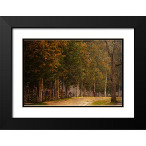 A Road Less Traveled Black Modern Wood Framed Art Print with Double Matting by Murdock, Ramona