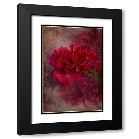 Tapestry Rose Black Modern Wood Framed Art Print with Double Matting by Murdock, Ramona