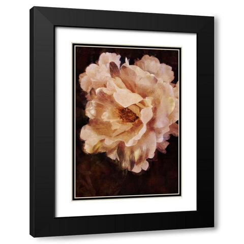 White Beauty Black Modern Wood Framed Art Print with Double Matting by Murdock, Ramona