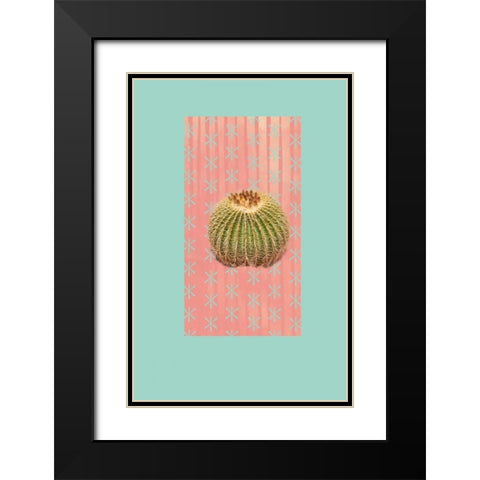 Barrel Cactus Black Modern Wood Framed Art Print with Double Matting by Murdock, Ramona