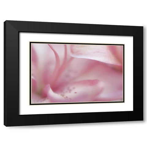 Fairy Land II Black Modern Wood Framed Art Print with Double Matting by Murdock, Ramona