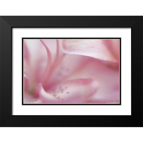 Fairy Land II Black Modern Wood Framed Art Print with Double Matting by Murdock, Ramona