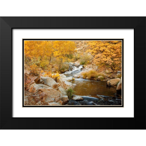 Fall Creek Black Modern Wood Framed Art Print with Double Matting by Murdock, Ramona