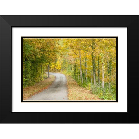 Fall Path Black Modern Wood Framed Art Print with Double Matting by Murdock, Ramona