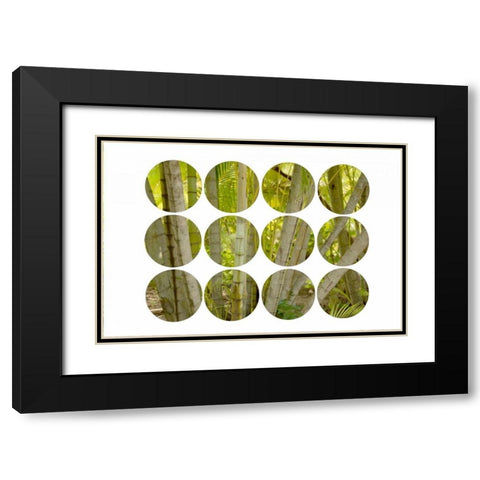 Bamboo Circles Black Modern Wood Framed Art Print with Double Matting by Murdock, Ramona