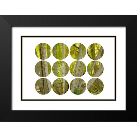 Bamboo Circles Black Modern Wood Framed Art Print with Double Matting by Murdock, Ramona