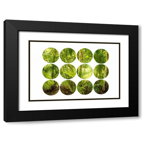 Palm Trees Black Modern Wood Framed Art Print with Double Matting by Murdock, Ramona