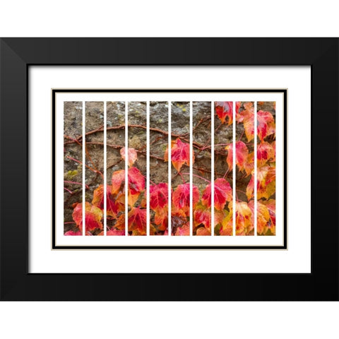Fall Leaves Black Modern Wood Framed Art Print with Double Matting by Murdock, Ramona