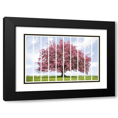 Spring Blossoms Black Modern Wood Framed Art Print with Double Matting by Murdock, Ramona