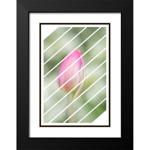 Spring Tulip Black Modern Wood Framed Art Print with Double Matting by Murdock, Ramona