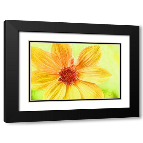 Daisy Love Black Modern Wood Framed Art Print with Double Matting by Murdock, Ramona
