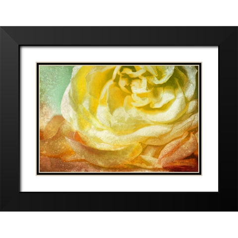 Many Petals Black Modern Wood Framed Art Print with Double Matting by Murdock, Ramona