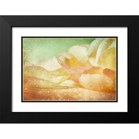 Petals Galore Black Modern Wood Framed Art Print with Double Matting by Murdock, Ramona
