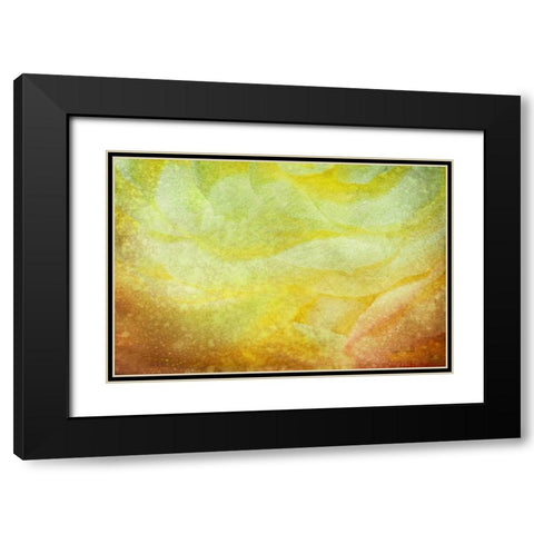 Subtle Petals Black Modern Wood Framed Art Print with Double Matting by Murdock, Ramona