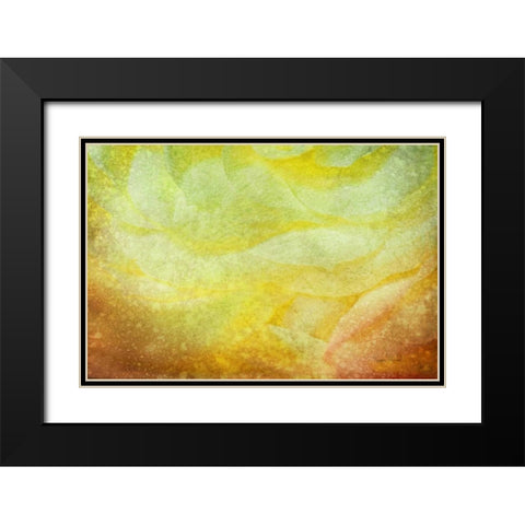 Subtle Petals Black Modern Wood Framed Art Print with Double Matting by Murdock, Ramona