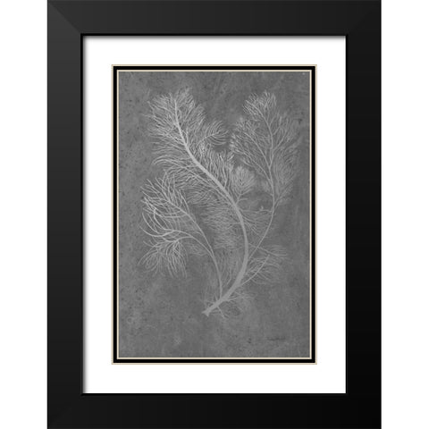 Fern Algae Silver on Black Black Modern Wood Framed Art Print with Double Matting by Murdock, Ramona