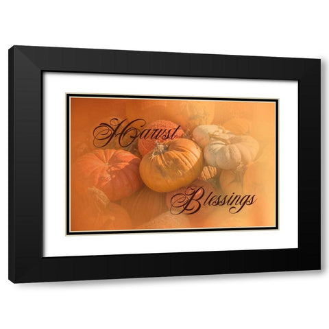 Harvest Blessings I Black Modern Wood Framed Art Print with Double Matting by Murdock, Ramona