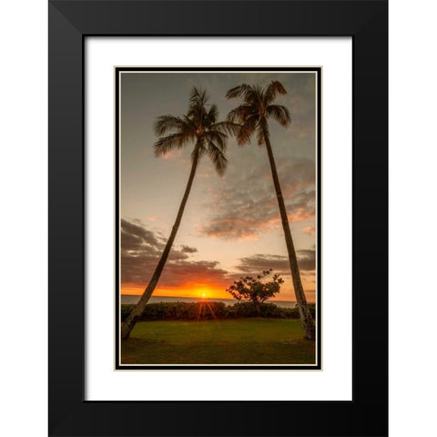 Sunset Palms II Black Modern Wood Framed Art Print with Double Matting by Murdock, Ramona