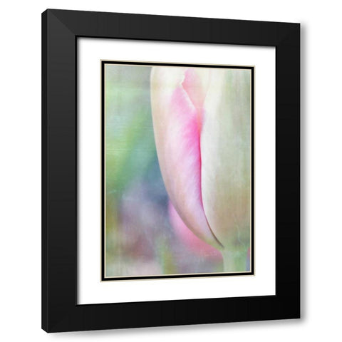 Spring Beauty II Black Modern Wood Framed Art Print with Double Matting by Murdock, Ramona