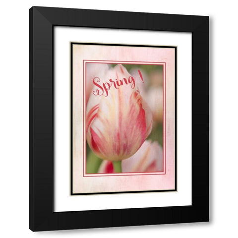 Spring! Black Modern Wood Framed Art Print with Double Matting by Murdock, Ramona