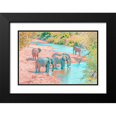 Waterhole Rendezvous II Black Modern Wood Framed Art Print with Double Matting by Murdock, Ramona
