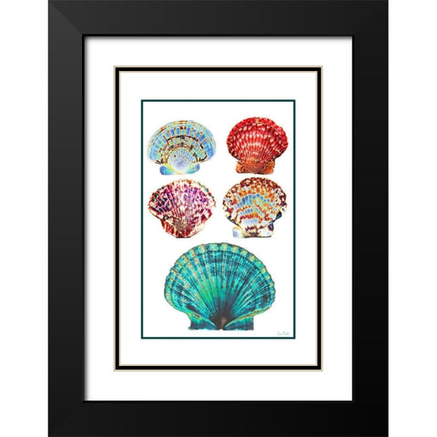 Seashell Collection I Black Modern Wood Framed Art Print with Double Matting by Murdock, Ramona