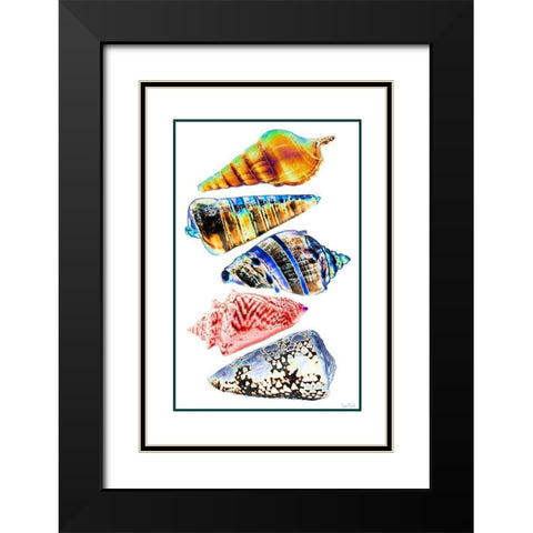 Seashell Collection II Black Modern Wood Framed Art Print with Double Matting by Murdock, Ramona