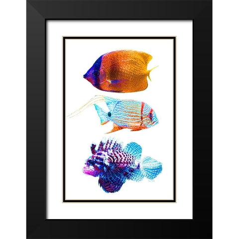 Fish Trio Black Modern Wood Framed Art Print with Double Matting by Murdock, Ramona