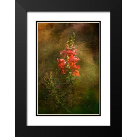 Snapdragon Twilight II Black Modern Wood Framed Art Print with Double Matting by Murdock, Ramona