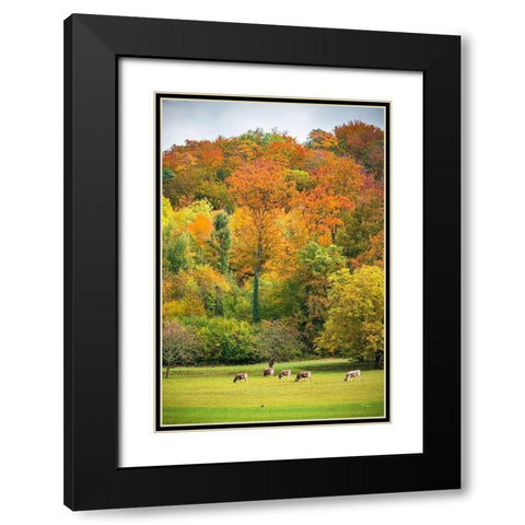 Peaceful Pasture Black Modern Wood Framed Art Print with Double Matting by Murdock, Ramona