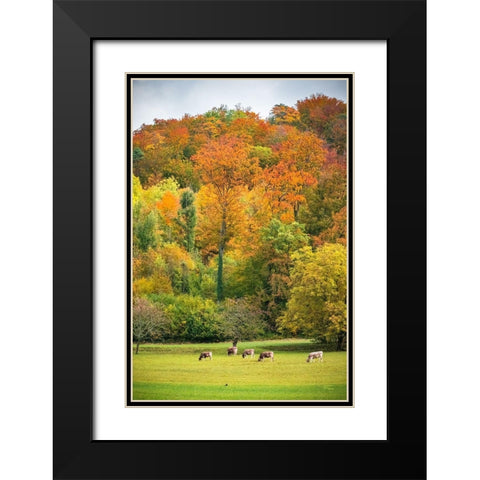 Peaceful Pasture Black Modern Wood Framed Art Print with Double Matting by Murdock, Ramona