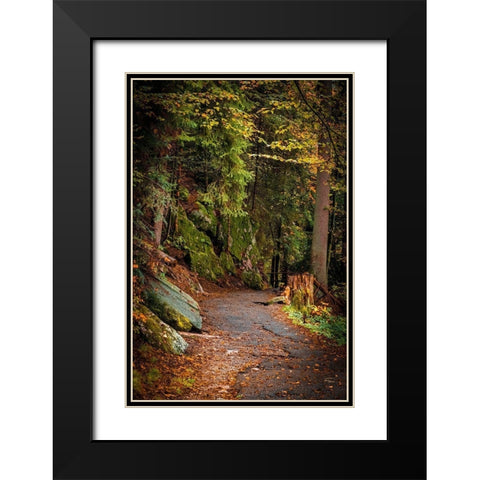 Foret Path Black Modern Wood Framed Art Print with Double Matting by Murdock, Ramona