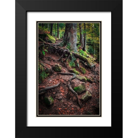 Sentinels Along Our Path Black Modern Wood Framed Art Print with Double Matting by Murdock, Ramona