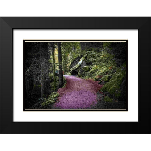 Path to Serenity Black Modern Wood Framed Art Print with Double Matting by Murdock, Ramona
