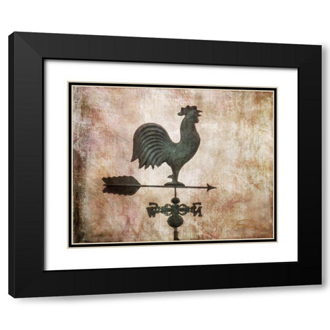 Weathervane Black Modern Wood Framed Art Print with Double Matting by Murdock, Ramona