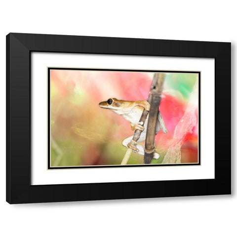 Hangin Around Black Modern Wood Framed Art Print with Double Matting by Murdock, Ramona