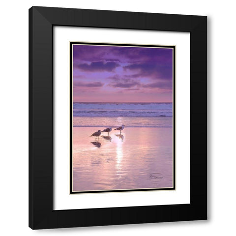 Seagull Beach II Black Modern Wood Framed Art Print with Double Matting by Murdock, Ramona