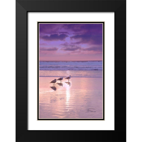 Seagull Beach II Black Modern Wood Framed Art Print with Double Matting by Murdock, Ramona